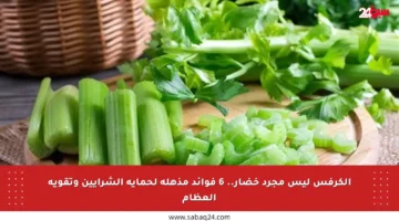 الكرفس ليس مجرد خضار.. 6 فوائد مذهلة لحماية الشرايين وتقوية العظام
